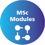 MSc modules